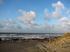 texel 002 (33)