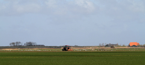 texel 002 (37)