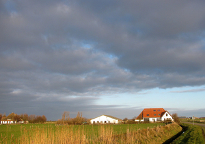 texel 002 (39)