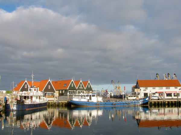 texel 002 (41)