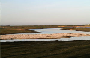 texel 002 (43)