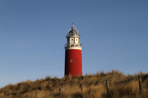 texel 002 (48)