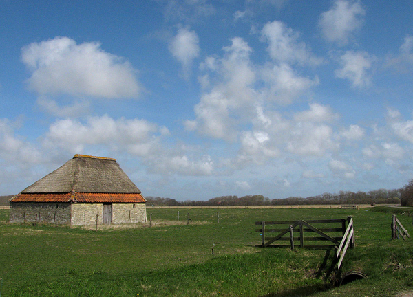 texel 002 (52)