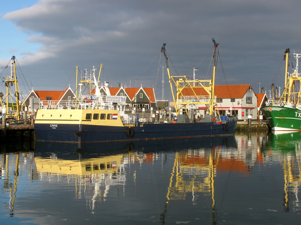 texel 002 (53)