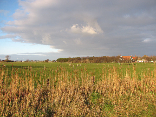 texel 002 (54)