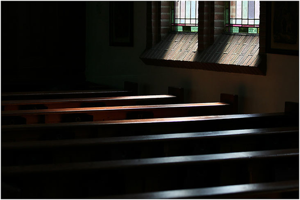 veenpark Bargercompascuum (4)