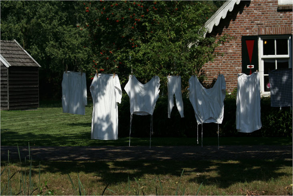 veenpark Bargercompascuum (20)