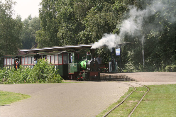 veenpark Bargercompascuum (54)