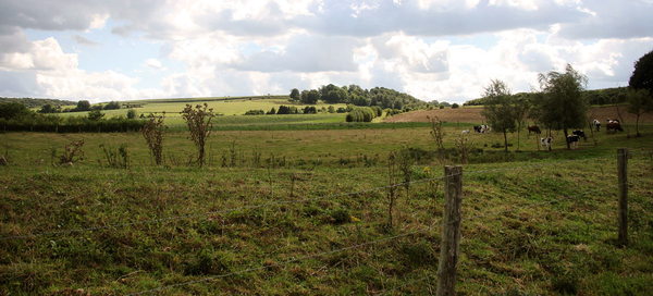 zuidlimburg 2013 001 (2)