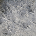 001 slufter (4)
