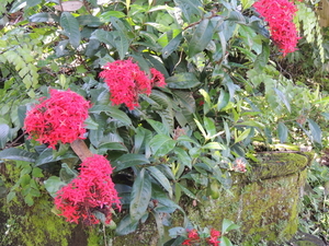 Indonesië 022