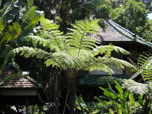 Indonesië 136
