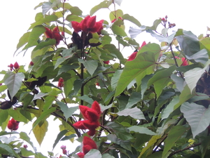 DSCN4851