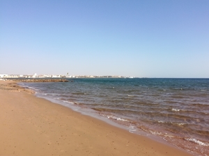 IMG_20190316_064936