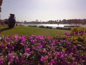 IMG_20190316_073739