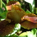 DSC04878