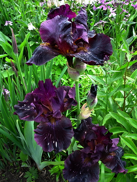 Ukojenie (Kilimnik, 2012)