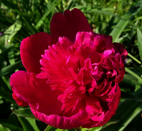 DSC07100Inspecteur Lavergne