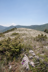 2-landschap-met-vedergras-2