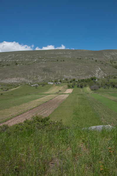 8-landschap-2