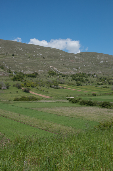 8-landschap-3