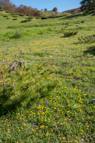 1-landschap-7
