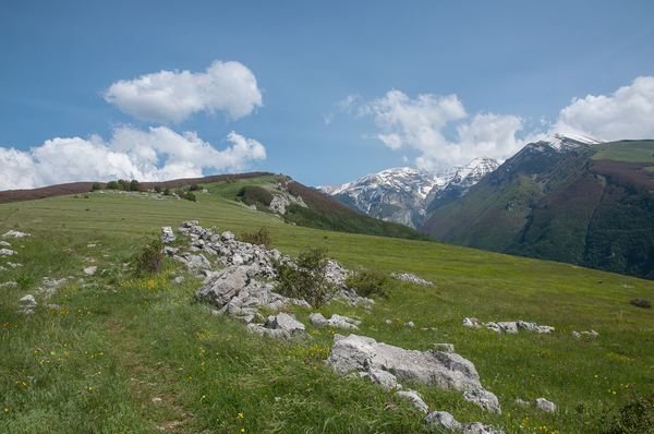 54-landschap