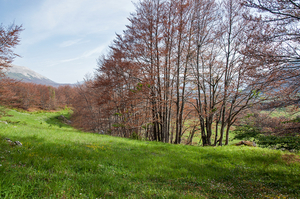 46-landschap