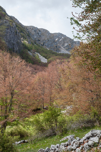 1-landschap-8
