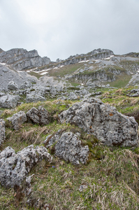 25-landschap