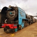 Zuid-afrika museum locomotieven-5