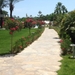 Barut Lara 2018