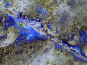 hdr_image3