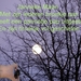 getimage2 (3)
