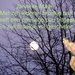 getimage2