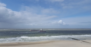 20190427_114146 (2)