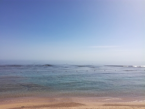 IMG_20190506_080236