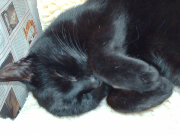 niet gemakkelijk zenne