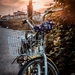 bicycle-4269732_960_720