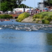 Triathlon-Roeselare-2-6-2019