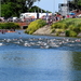 Triathlon-Roeselare-2-6-2019