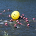 Triathlon-Roeselare-2-6-2019