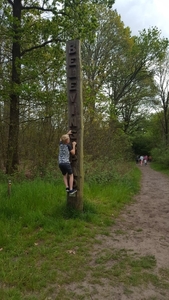 Camping de Reeeenwissel