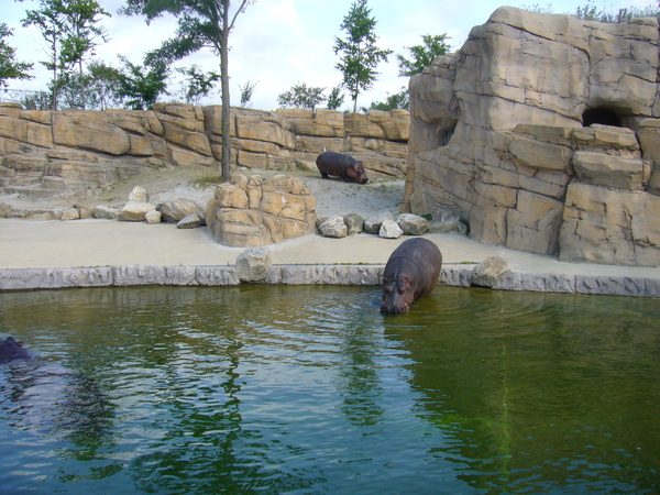 Dierentuin Emmen.