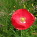 SAM_8321