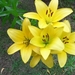SAM_8397