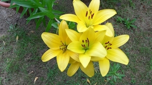 SAM_8397