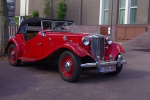 IMGP4501