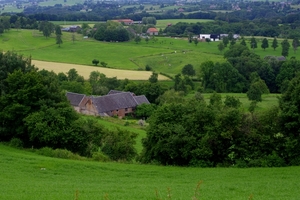 IMGP4508