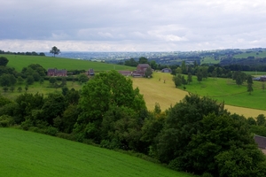 IMGP4509